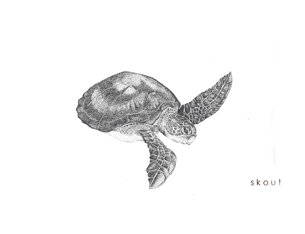 SAVE OUR SEAS Illustration series