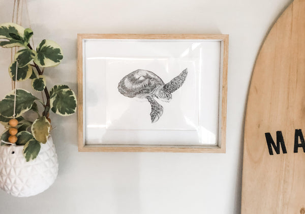 SAVE OUR SEAS Illustration series