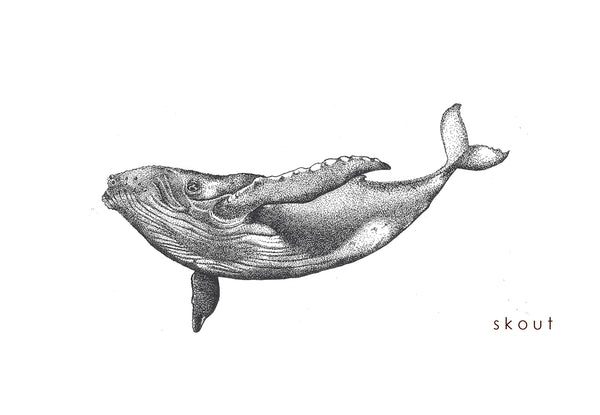 SAVE OUR SEAS Illustration series